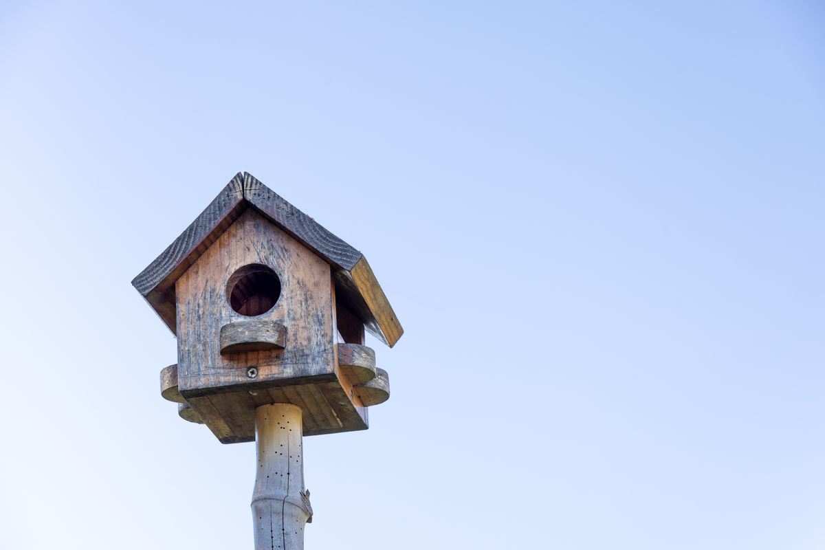 A simple wooden birdhouse of the kind a child can assemble from pre-cut pieces